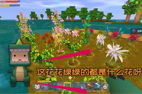 迷你世界手游怎么种花