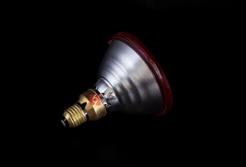 坦克世界灯泡是什么