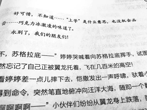 神奇宝贝小说怎么写