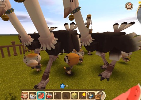 迷你世界怎么训养鸵鸟