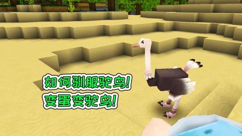 迷你世界怎么训养鸵鸟[图2]
