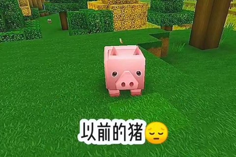 迷你世界用什么引猪[图2]