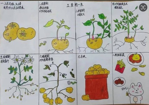 我的世界土豆怎么种