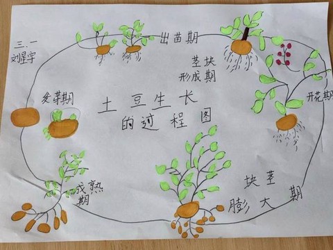 我的世界土豆怎么种[图2]