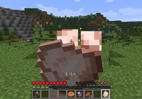 手机版我的世界怎么吃东西[图2]