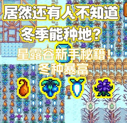 星露谷物语冬天怎么赚钱[图1]